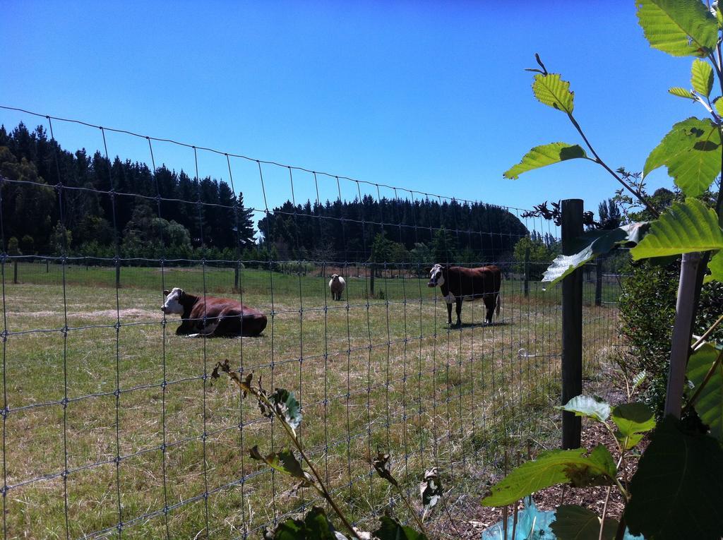 The Meadows Villa Christchurch Buitenkant foto