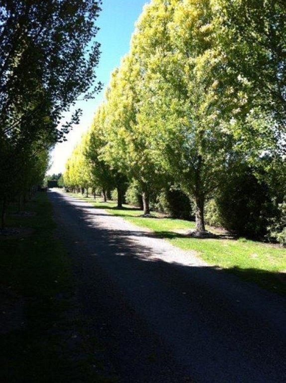 The Meadows Villa Christchurch Buitenkant foto