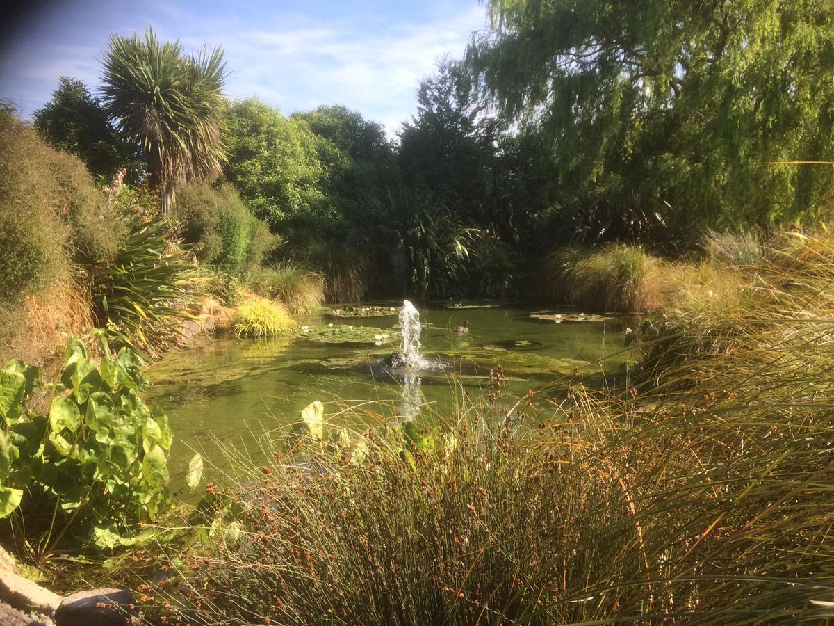 The Meadows Villa Christchurch Buitenkant foto